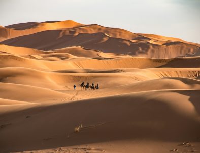 8 Days Desert Tour From Fez to Marrakech